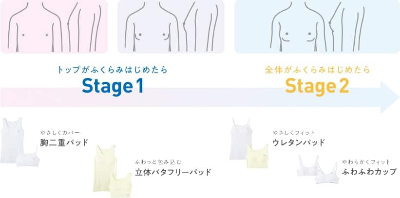 トップがふくらみはじめたらStage1 全体がふくらみはじめたらStage2