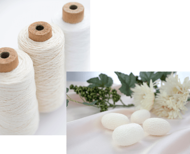 Silk 繊維の女王
