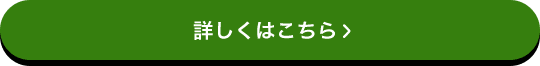 詳しくはこちら