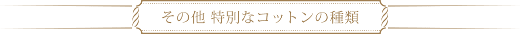 その他 特別なコットンの種類