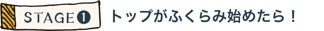 ステージ1：トップがふくらみ始めたら！