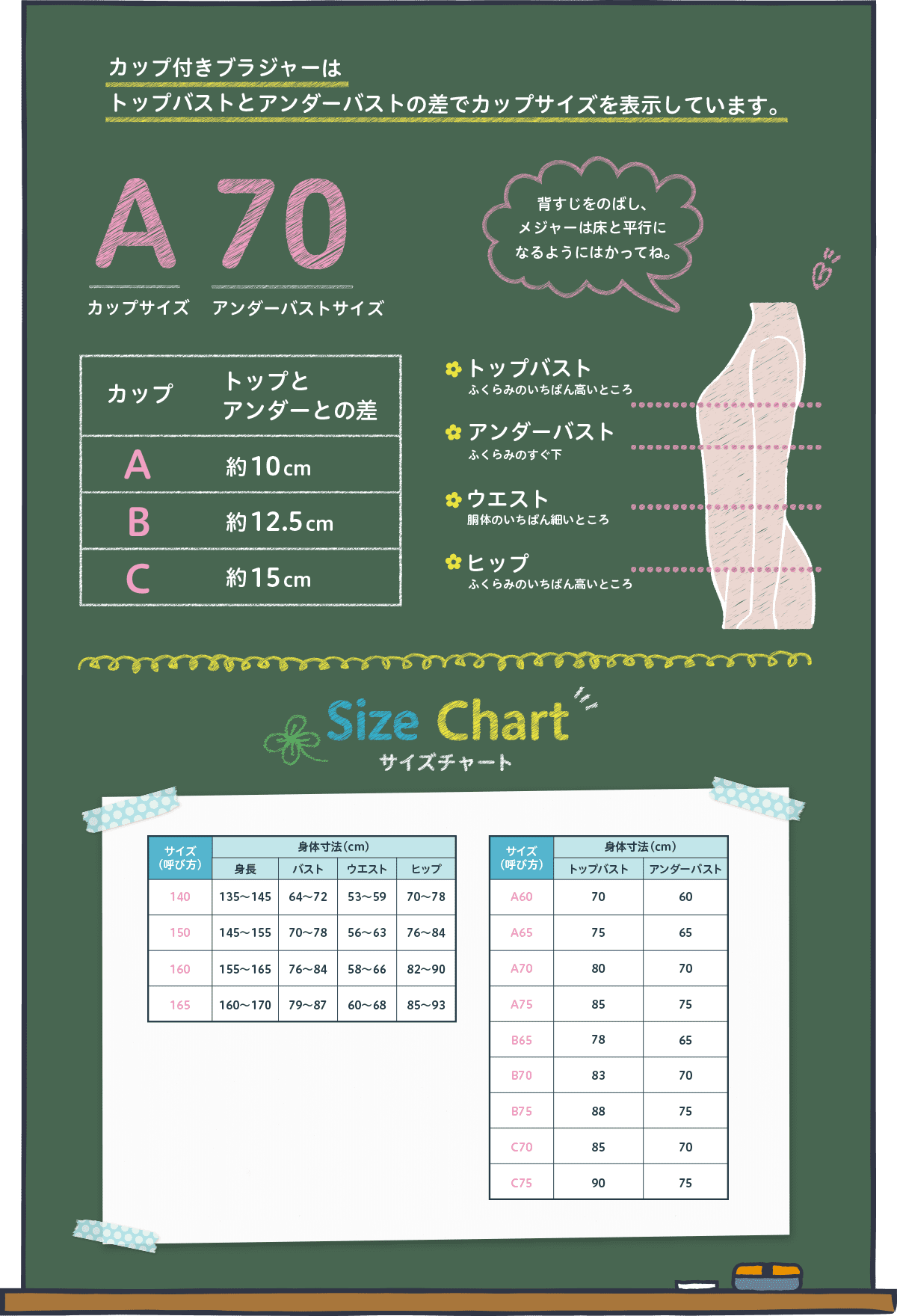 カップ付きブラジャーはトップバストとアンダーバストの差でカップサイズを表示しています。