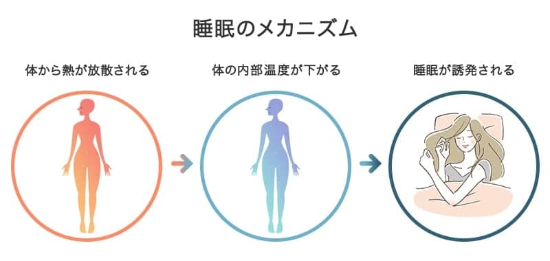 睡眠中の靴下着用はOK？NG？睡眠メカニズムから考える、靴下のメリット・デメリットの記事内画像2