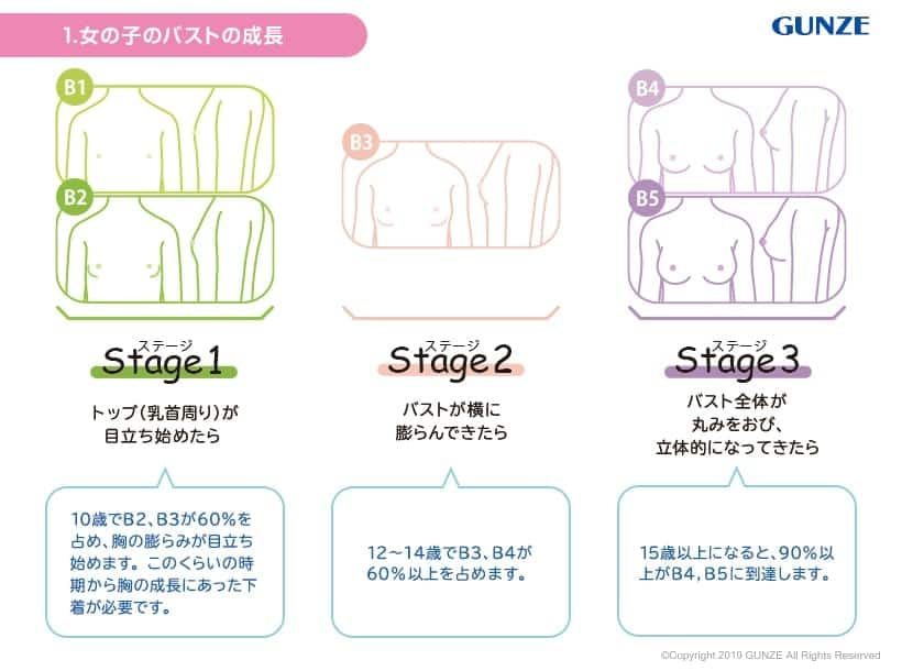 思春期の悩み 胸について 成長期のブラ選び 着ごこち プラス Gunze グンゼ