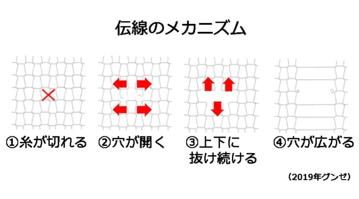 ストッキングの伝線はなぜ起こるの 予防法や対策法とは 着ごこち プラス Gunze グンゼ