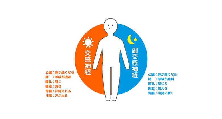 過剰な汗と自律神経の関係