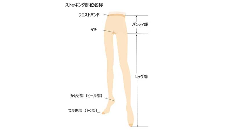 タイツやストッキングの構造をおさらい