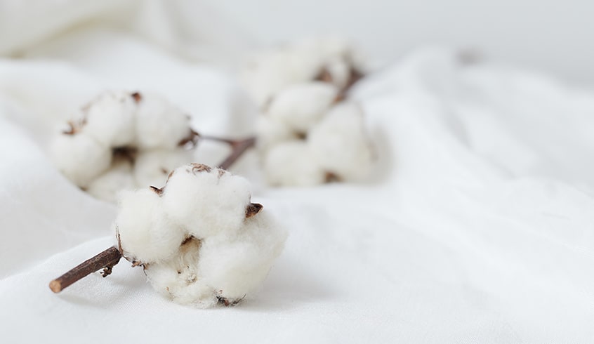 コットンと綿の違いは何？生地の特徴とメリット・デメリットを解説