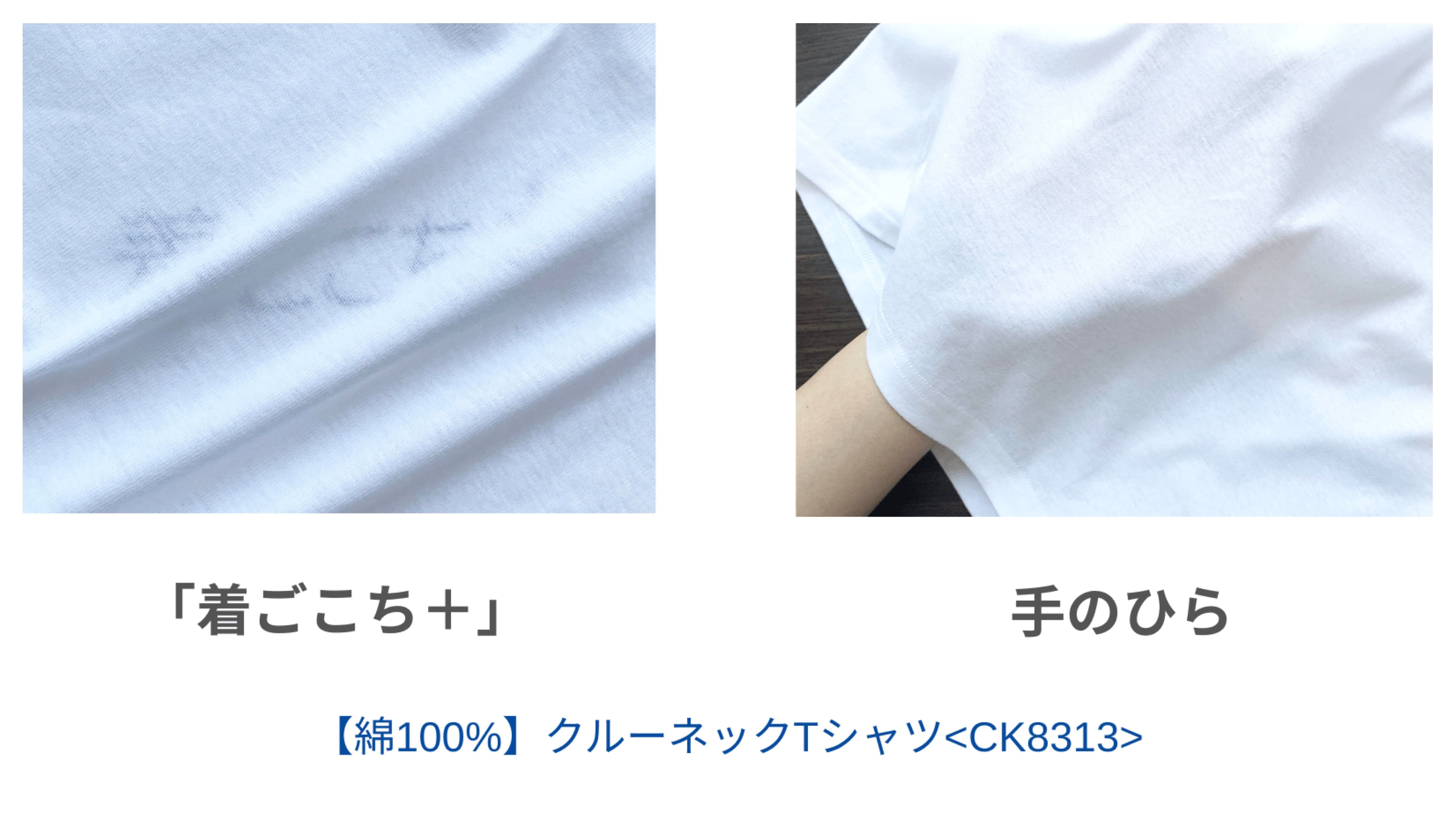 ①約3.89オンス:the GUNZE(ザグンゼ)クルーネックTシャツ