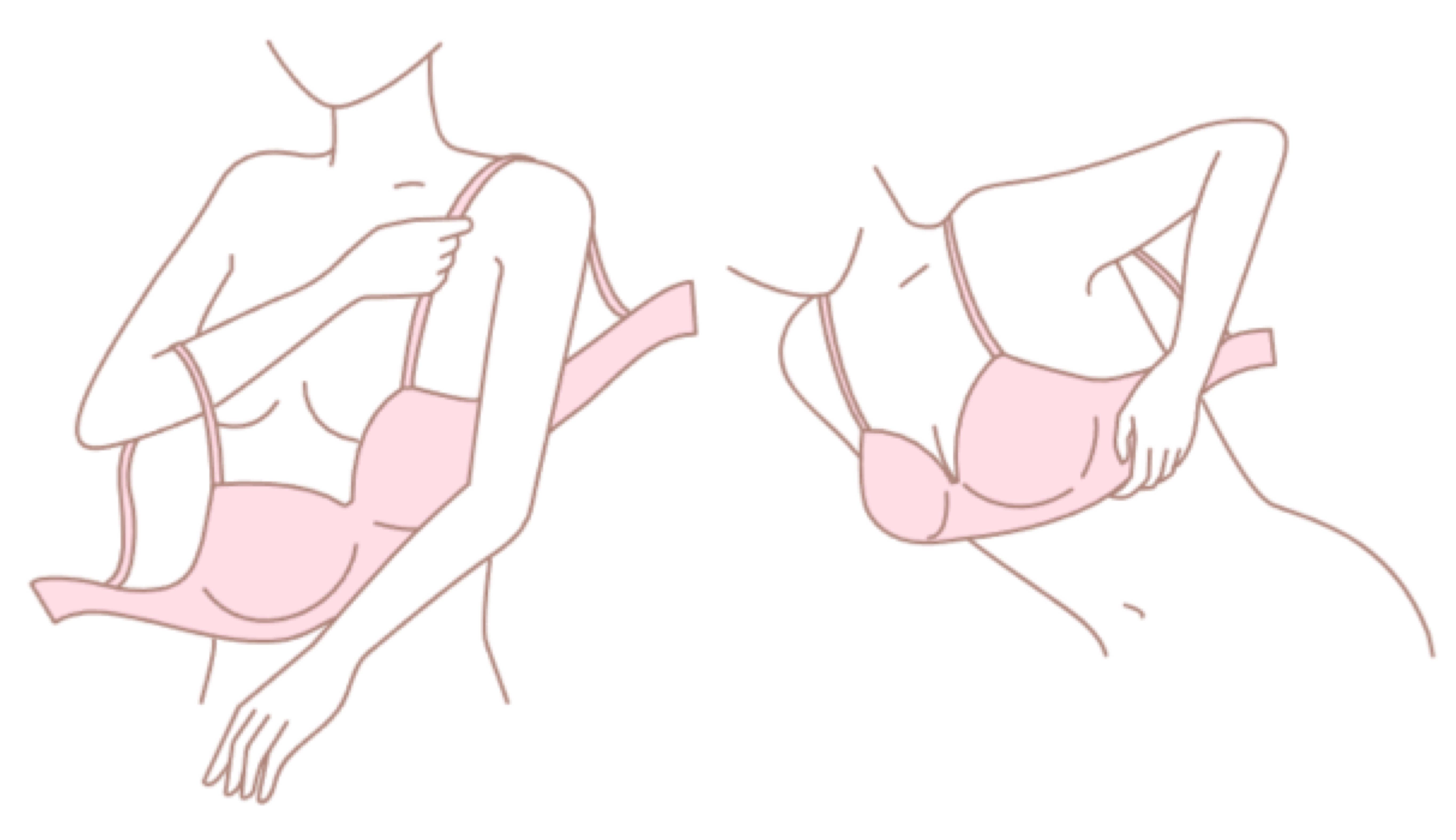ブラジャーの正しいつけ方