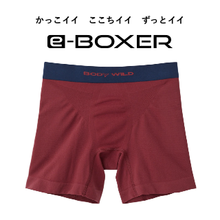 e-BOXER商品画像