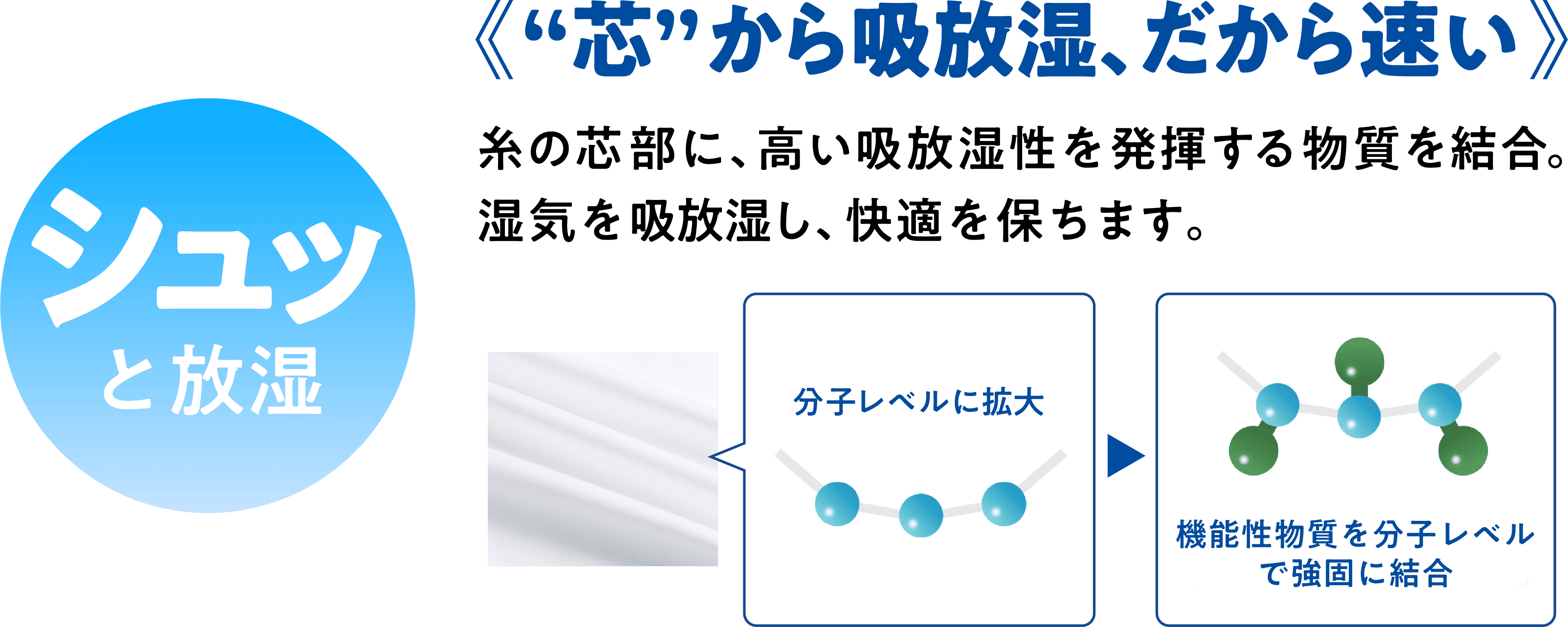 シュッと放湿《“芯”から吸放湿、だから速い》糸の芯部に、高い吸放湿性を発揮する物質を結合。湿気を吸放湿し、快適を保ちます。