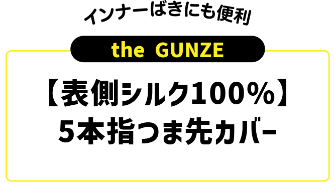 theGUNZE ソックス