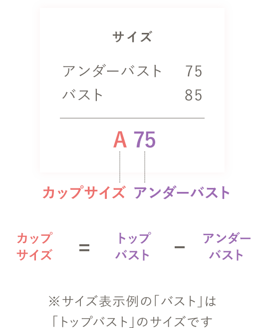 サイズ診断付】ブラジャーサイズの正しい測り方＆選び方 | 通販