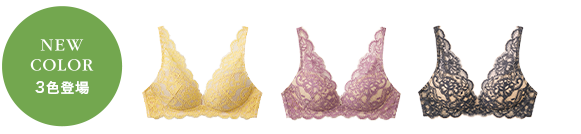 NEW COLOR 3色登場