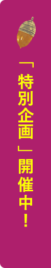 特別企画開催中！