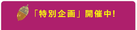 特別企画開催中！