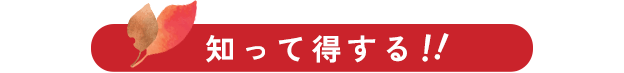 知って得する！