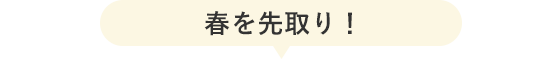 春を先取り！