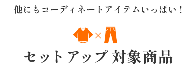 セットアップ 対象商品