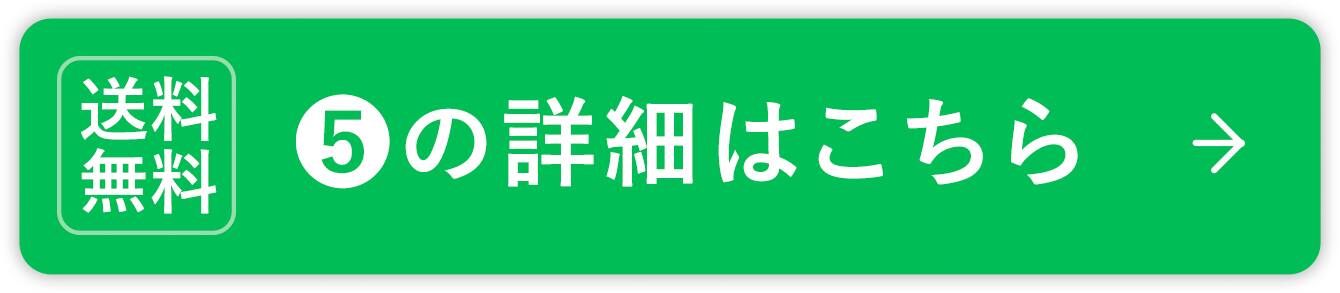 送料無料 ❺の詳細はこちら