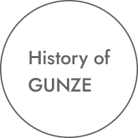 History of GUNZE