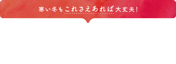 寒い冬もこれさえあれば大丈夫！ここがいい！極ポイント