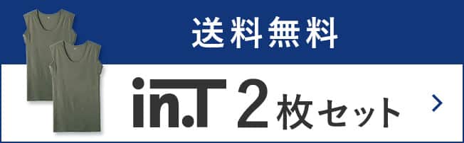 送料無料　in.T2枚セット