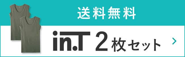 送料無料　in.T2枚セット