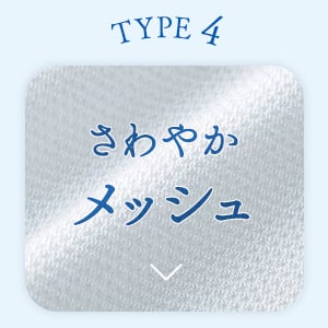 TYPE4 さわやかメッシュ