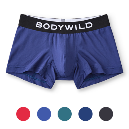 BW2997P