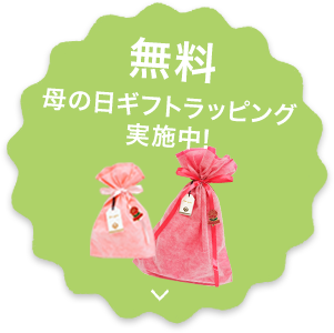 母の日ギフト | 通販 【グンゼ公式】