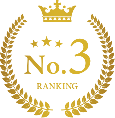 人気ランキング No.3