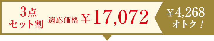 3点セット割 適応価格￥17,072　【￥4,268オトク！】
