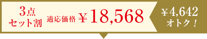 3点セット割 適応価格￥18,568　【￥4,642オトク！】