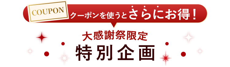 大感謝祭限定特別企画