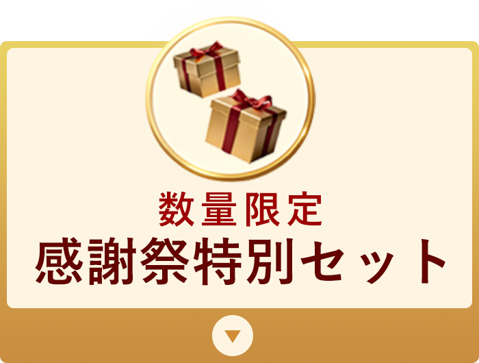 感謝祭特別セット