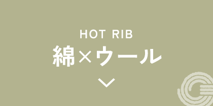 綿×ウールのアイテム