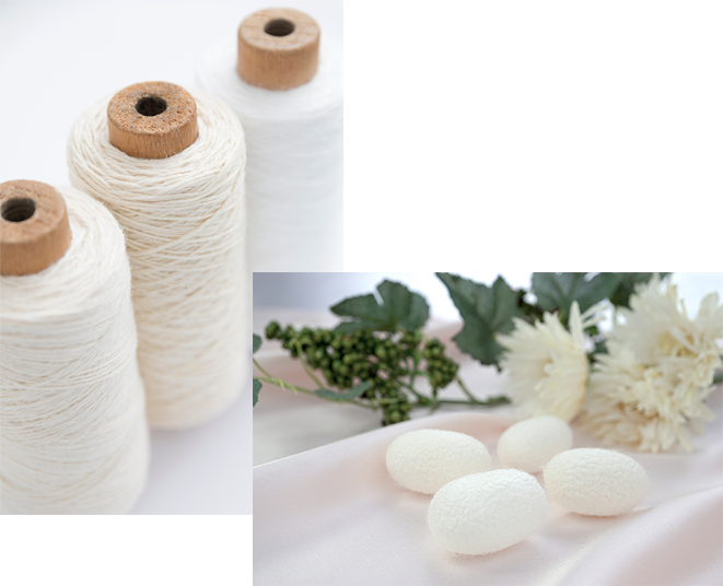 Silk 繊維の女王