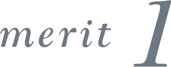 merit 1