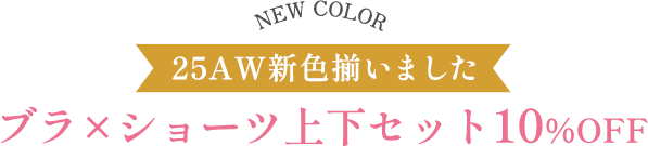 25AW新色揃いました ブラ×ショーツ上下セット10%OFF