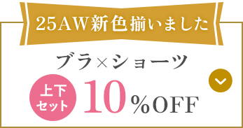 ブラ×ショーツ 上下セット10%OFF