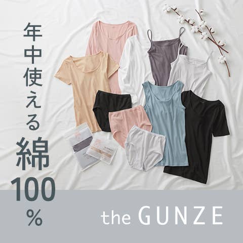 the GUNZE