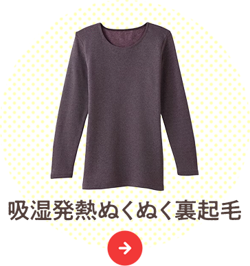 機能重視派・特に冷え込む日に：吸湿発熱ぬくぬく裏起毛