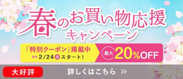 バレンタインクーポン内容