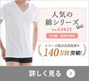 the GUNZE