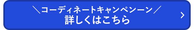 コーディネートCP_詳しくはこちら