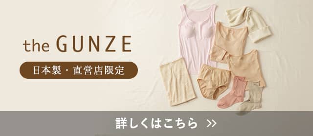 the GUNZE