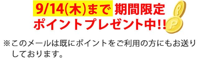 期間限定ポイントプレゼント中!!