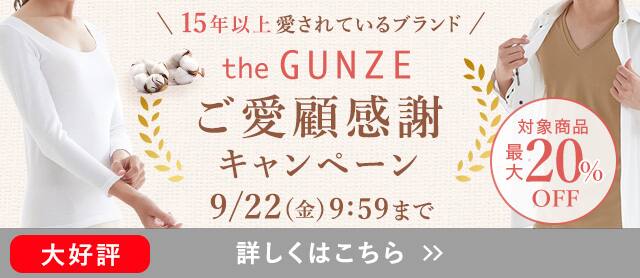 theGUNZEキャンペーン